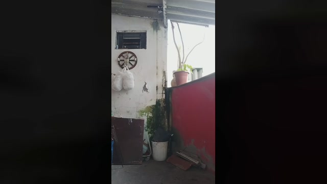 FelipeMathias  29-06-2022 Recorded Video Ass