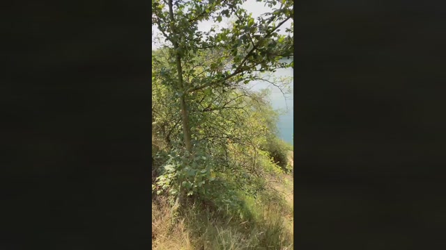 darksecret_Lar  30-06-2022 Recorded Video fuckme