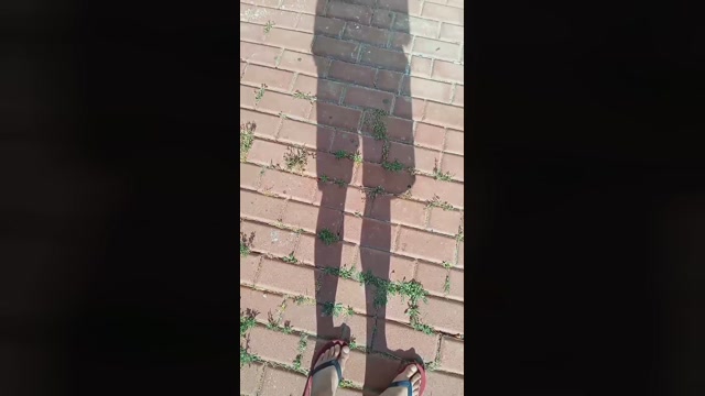 Public___  30-06-2022 Recorded Video fuckhard