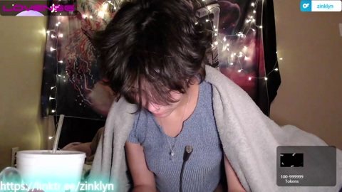 zinklyn 01-07-2022 Recorded 