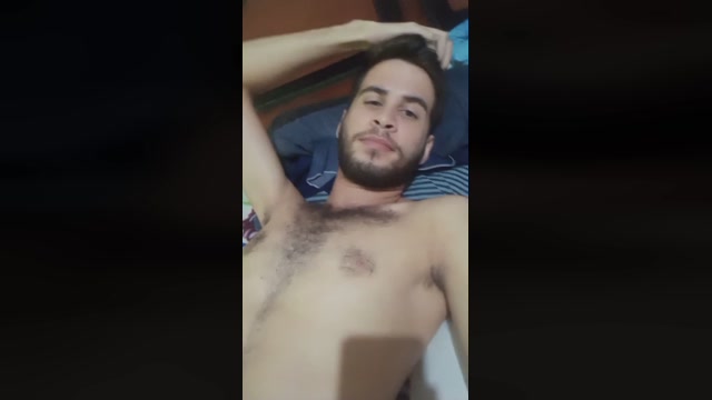 Alfa_cavalo  02-07-2022 Recorded Video analtoy