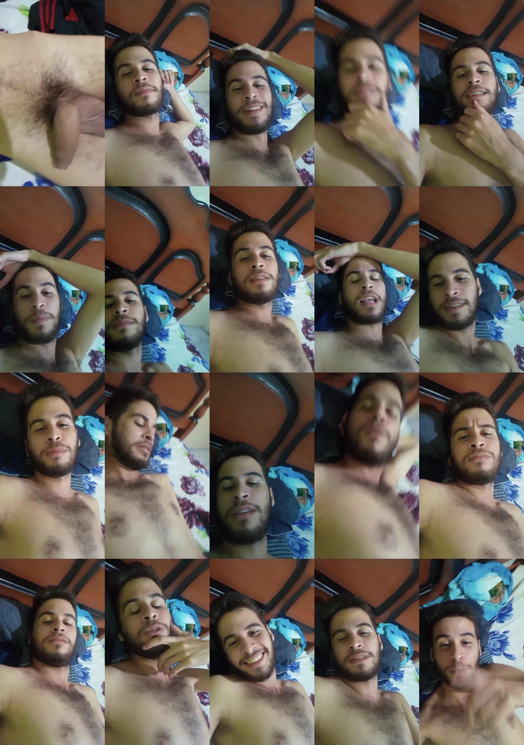 Alfa_cavalo  02-07-2022 Recorded Video lick