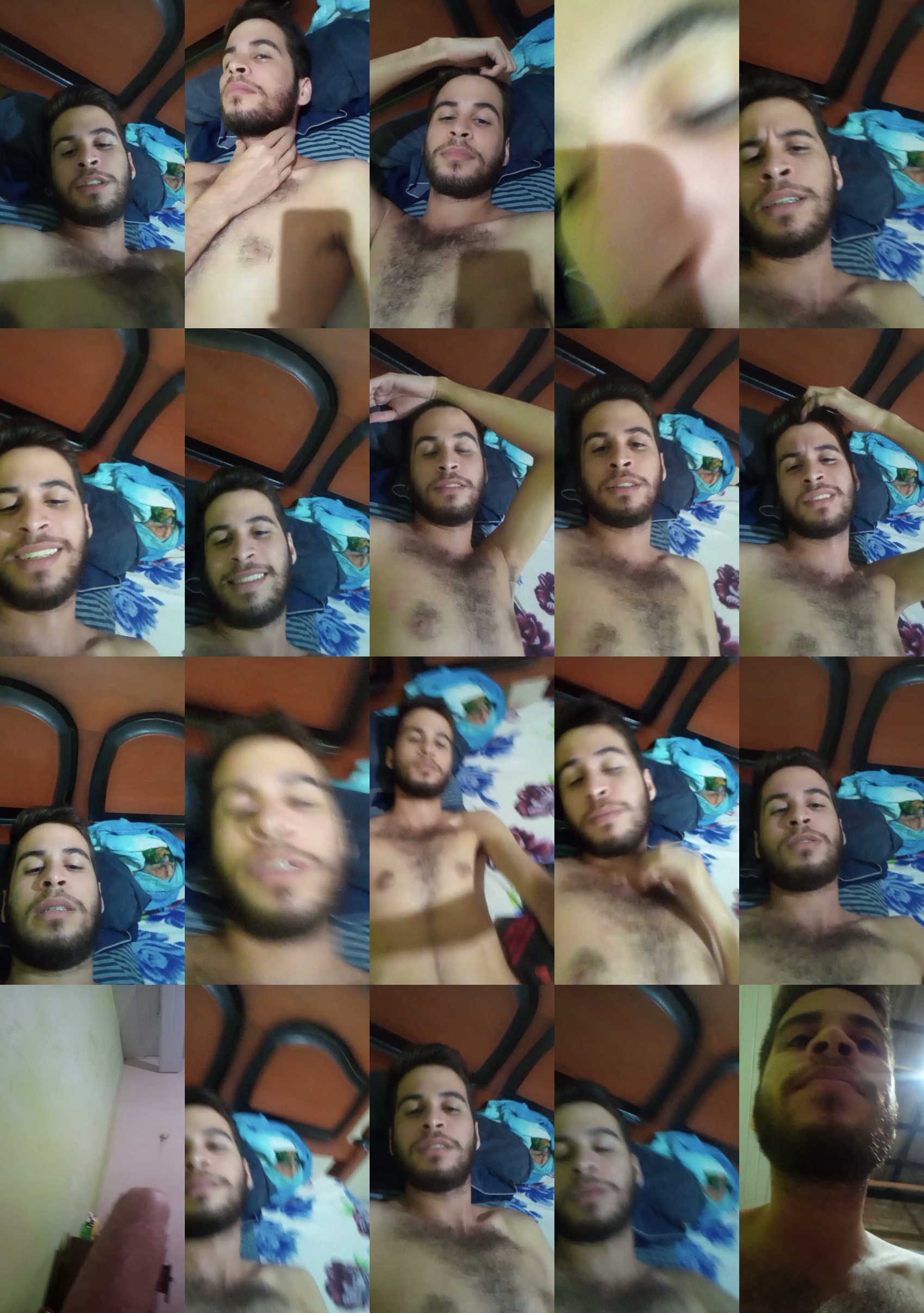 Alfa_cavalo  02-07-2022 Recorded Video analtoy