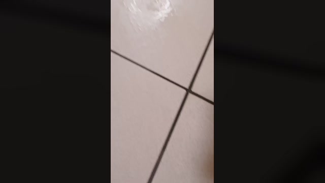 Amyleee  01-07-2022 Porn Females