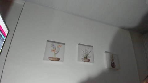 _Massimmo_  02-07-2022 Recorded Video Webcam