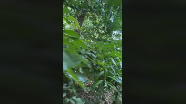 public_sexy  02-07-2022 Recorded Video wank