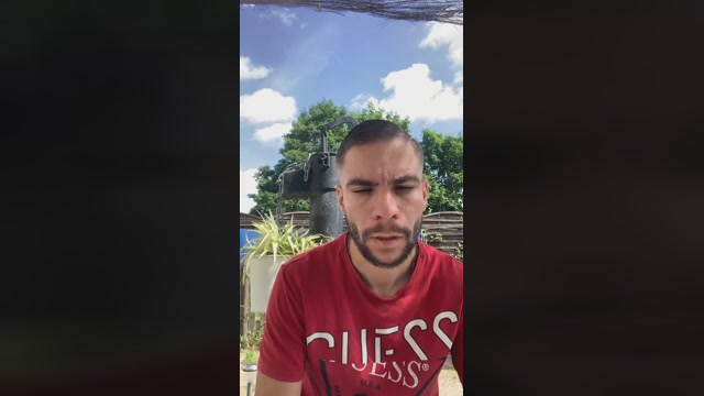 ElTotorino  03-07-2022 Recorded Video toy