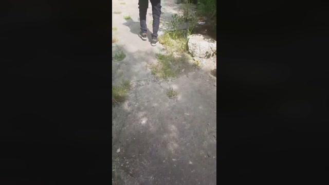 Mirko035  03-07-2022 Recorded Video play