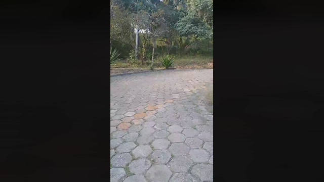 capixaba_xxx  02-07-2022 Recorded Video hardcock
