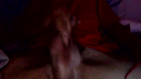 donkeydaddy36  03-07-2022 video Cam