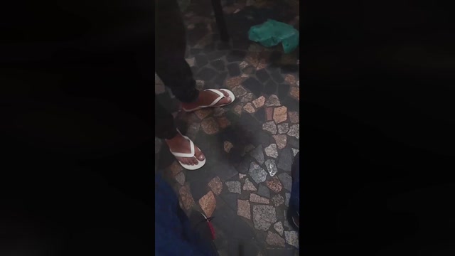 mlkao22cmzl  03-07-2022 Recorded Video beautiful