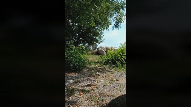 Gravita40  04-07-2022 Recorded Video suckcock