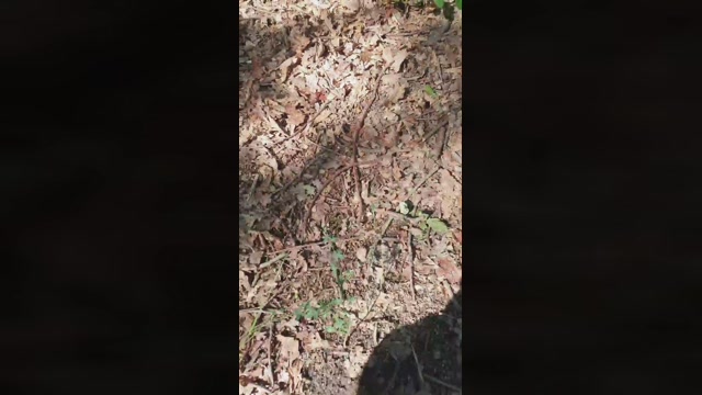 cabron132  04-07-2022 Recorded Video bigcock