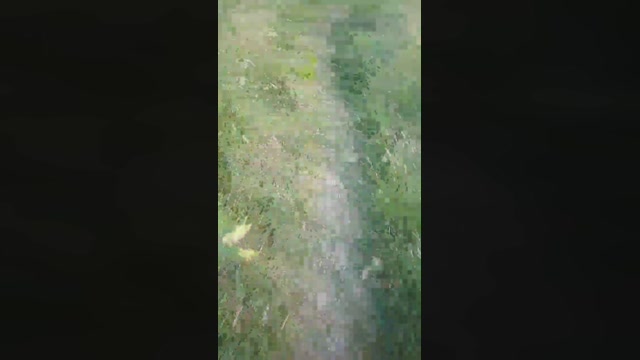 emanuele033  03-07-2022 Recorded Video cute