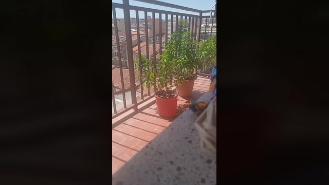 psygirl3 04-07-2022 Recorded 