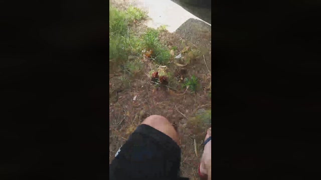 Public___  05-07-2022 Recorded Video analtoy