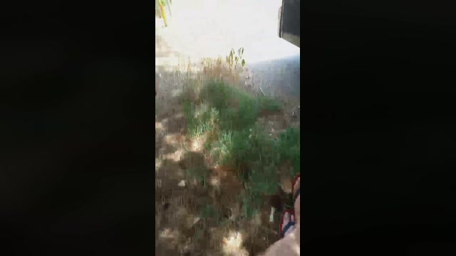 Public___  05-07-2022 Recorded Video bigtoys