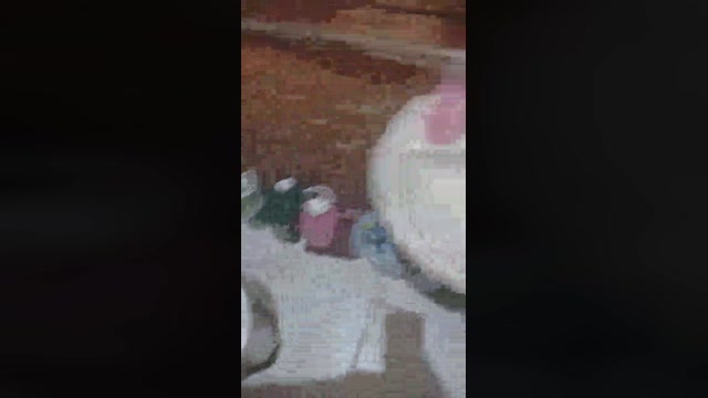 alves144  05-07-2022 Recorded Video fuckface