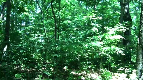 decentdick93  04-07-2022 video kissing