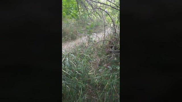 emanuele033  04-07-2022 Recorded Video play