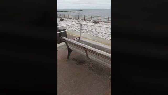 takenao3  05-07-2022 Recorded Video big