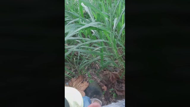 Hot_met  06-07-2022 Recorded Video bigload