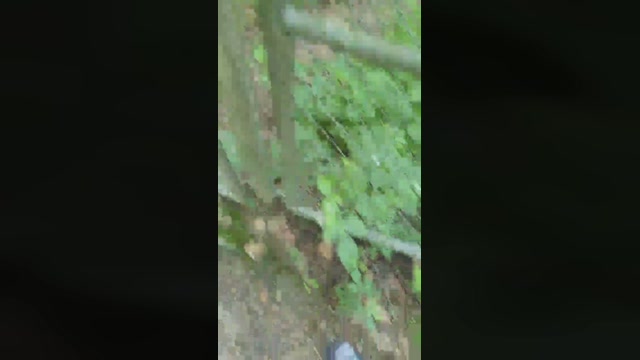 Minipic  06-07-2022 Recorded Video gag
