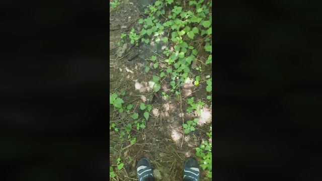 Minipic  06-07-2022 Recorded Video orgasm
