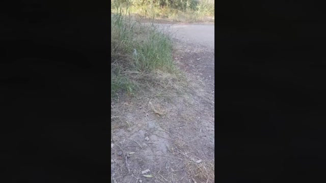 Mirko035  06-07-2022 Recorded Video dirty
