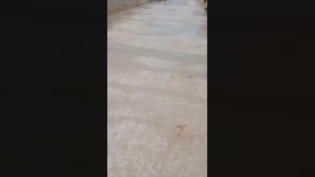 Public___  05-07-2022 Recorded Video gag