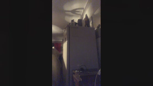 Yoel1905  06-07-2022 Recorded Video striptease
