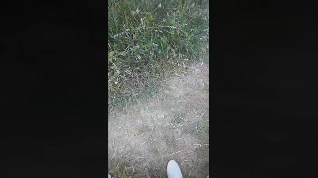 emanuele033  05-07-2022 Recorded Video toys