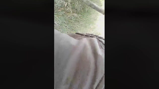 emanuele033  06-07-2022 Recorded Video suck