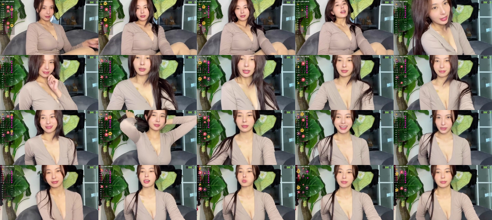 burmilla1 08-07-2022 amateur 