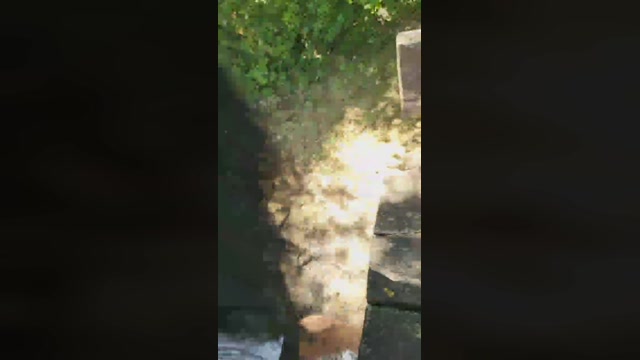 habenlust 08-07-2022 Webcam 