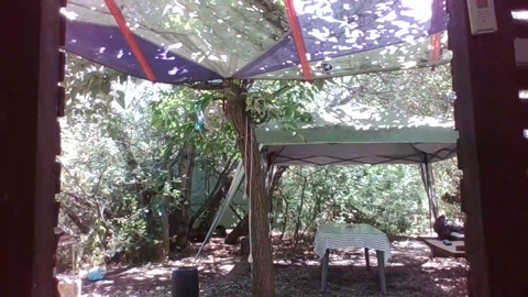 xorbos  08-07-2022 Recorded Video gag
