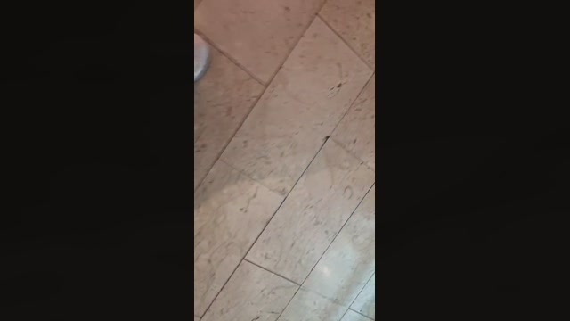 2bear4you  09-07-2022 Recorded Video toys