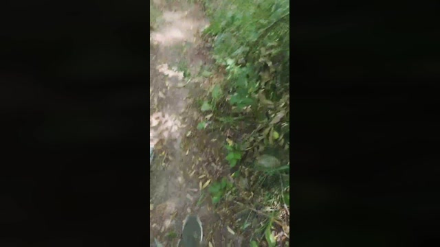 Mirko035  09-07-2022 Recorded Video suck