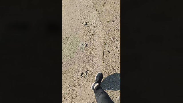 bimanpt  09-07-2022 Recorded Video moan