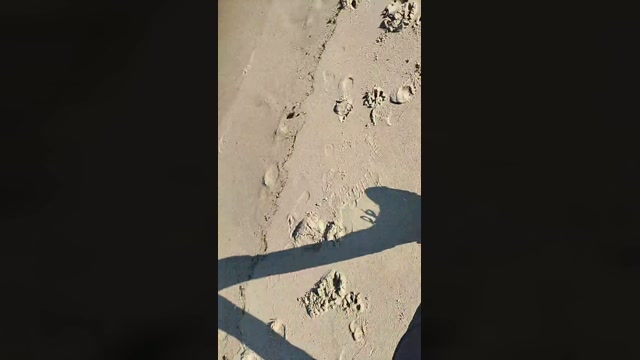 bimanpt  09-07-2022 Recorded Video squirt