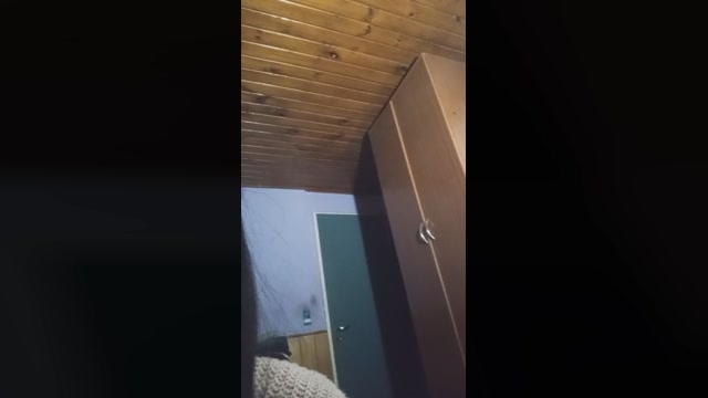 xreputation_fun