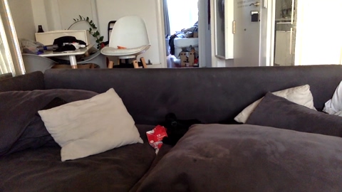 1Cam  10-07-2022 Recorded Video beautiful