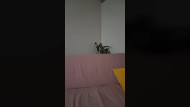 Paascsle 10-07-2022 sex 