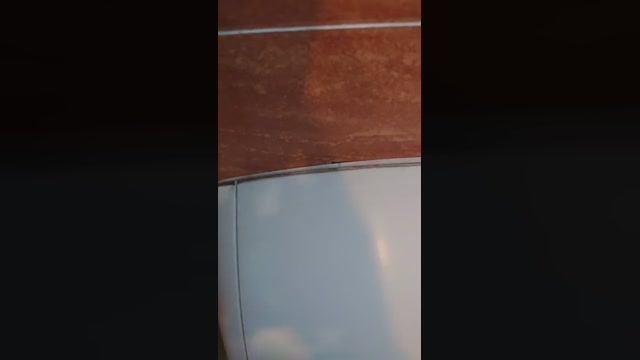 boss51232  09-07-2022 Recorded Video suckcock