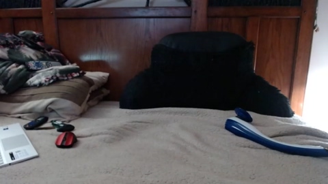 shaunny6  10-07-2022 video sexy