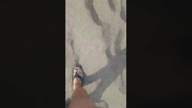 tarcton78  10-07-2022 Recorded Video Ass