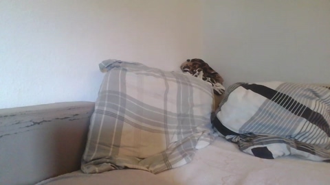 thormos7  09-07-2022 video strip