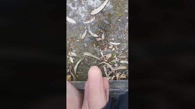 Alcindogomes  10-07-2022 Recorded Video bigballs