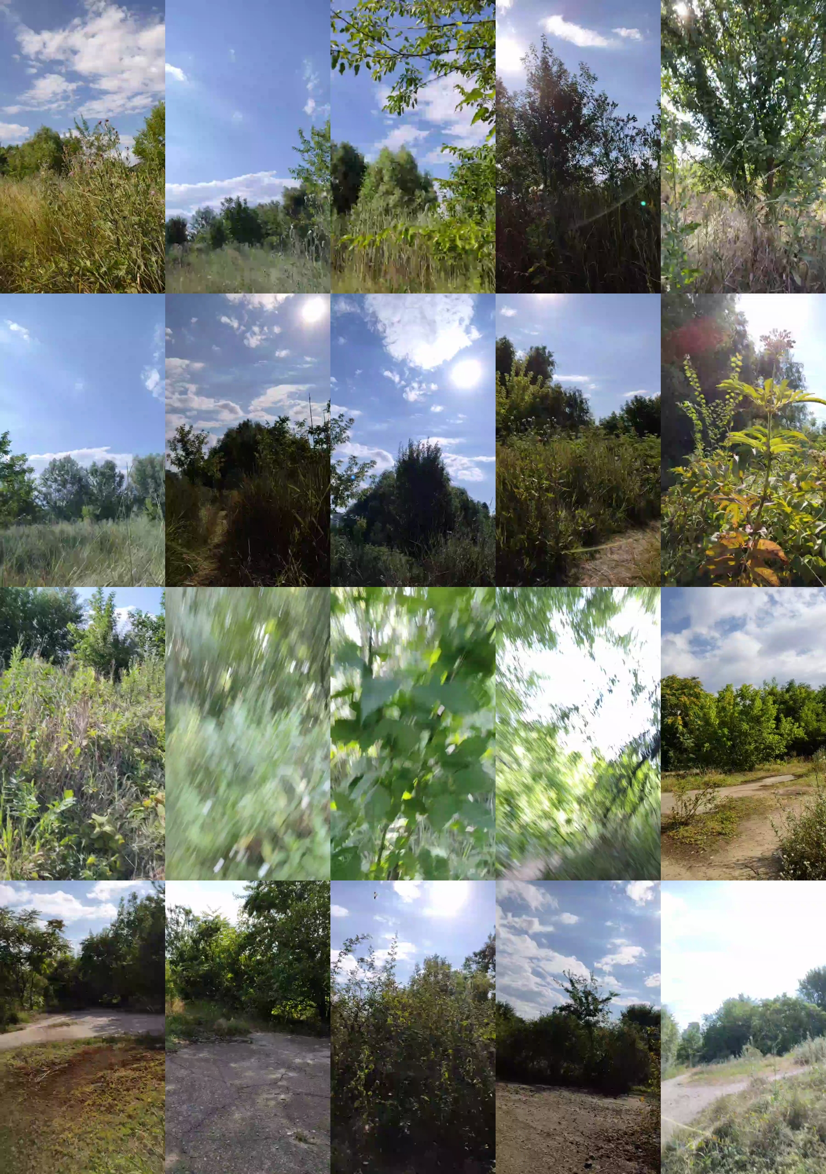 Mirko035  11-07-2022 Recorded Video sweet