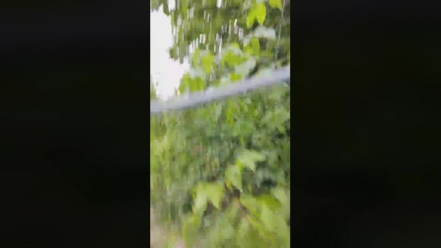 Mirko035  11-07-2022 Recorded Video fingers